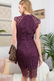Lace Crochet Dress, Plum